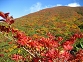 090924kurikoma006s-.jpg