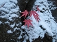 071119takamatunoike0003s-.jpg