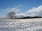 071123koiwai1s-.jpg