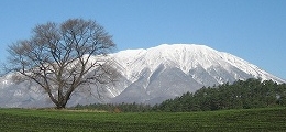iwate.jpg